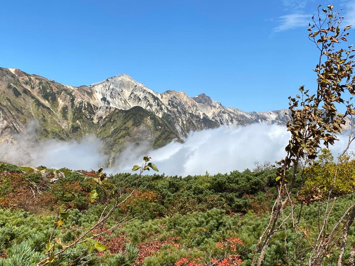 Bed and Breakfast Hareruya Hakuba Exterior foto
